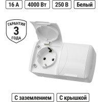 Розетка двойная с крышкой накладная с заземлением, белая TDM ELECTRIC 2П IP54 16А, серия "Селигер" SQ1818-0014