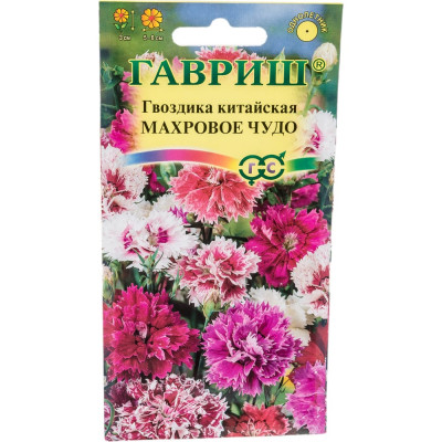 Семена ГАВРИШ 1071857795
