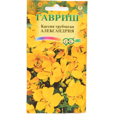 ГАВРИШ Кассия Александрия, трубчатая 3 шт. 1999943534