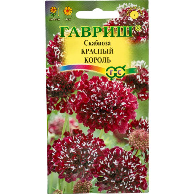 ГАВРИШ Скабиоза темнопурпурная Красный король махр. 6 шт. 1071858193
