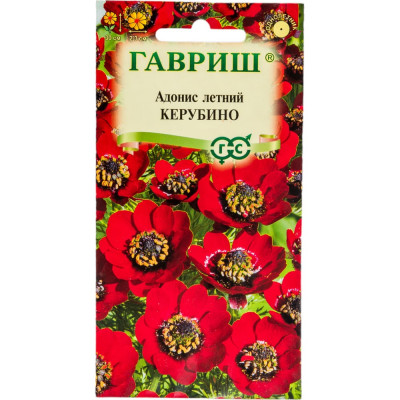 ГАВРИШ Адонис летний Керубино 0,1 г 1071856835