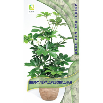 Семена Агрохолдинг ПОИСК 813068