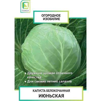 Агрохолдинг ПОИСК Капуста белокочанная Июньская 0,5гр ОИ 705988