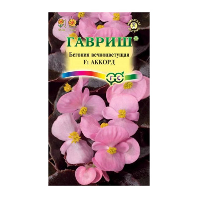 ГАВРИШ Бегония Аккорд F1 вечноцв. гранул. 4 шт. пробирка 1071857184