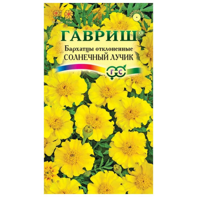 Семена ГАВРИШ 1071858284