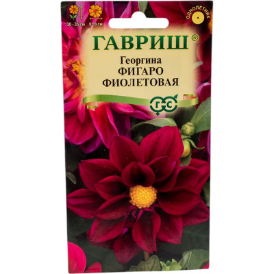 ГАВРИШ Георгина Фигаро фиолетовая 7 шт. Н23 1071860791