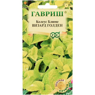 ГАВРИШ Колеус Визард Голден_ 4 шт. Элитная клумба 1071857910