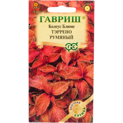 ГАВРИШ Колеус Тэррено румяный_ 4 шт. 1071857915