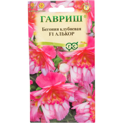 ГАВРИШ Бегония Алькор F1 клубневая, амп. 4 шт. гранул. пробирка 002494