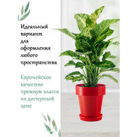 Горшок Teraplast PORTO диам. 14 см, высота 15 см, красный 08083014010