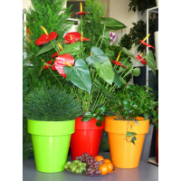 Горшок Teraplast PORTO диам. 20 см, высота 21.5 см, зеленый 08083020007