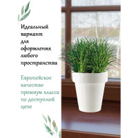 Горшок Teraplast PORTO диам. 16 см, высота 17.5 см, белый 08083016022