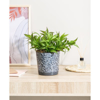 Горшок для цветов IDILAND Stone Flower диаметр 160 мм, 2 л, с прикорневым поливом, с декором, серый, 221606935/01