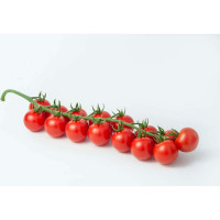 Чезаре F1 семена томата 10 шт ЭС мини ELITE PLANT-BREEDING & SEED PRODUCTION Co. 1026995228