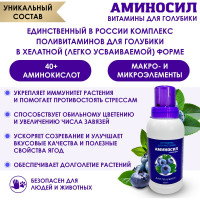Витамины для голубики Аминосил концентрат 250 мл 4640259903064