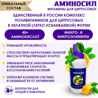 Витамины для цитрусовых Аминосил концентрат 250 мл 4640259903040