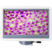 Цифровой монокулярный микроскоп Levenhuk D85L LCD 78902
