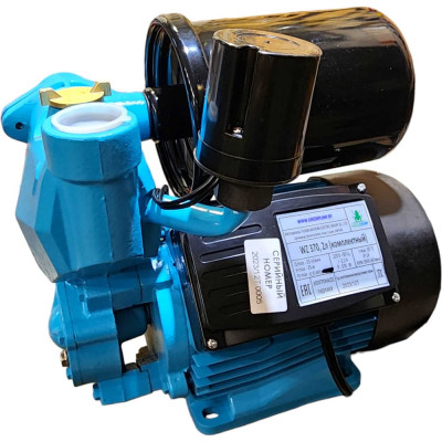 Насосная станция Greenpump WZ 370 20000881