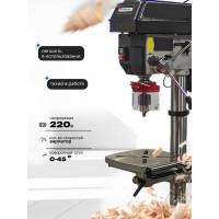 Сверлильный станок Forsage настольный F-DP30016VL(50299)