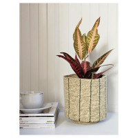 Плетеное кашпо Covali джут SB-4290