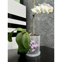 Горшок для орхидеи ЗПИ «Альтернатива» Декор, 1.8л, прозрачный М1604