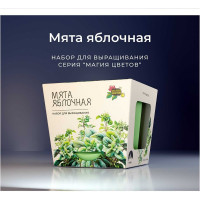 Набор для выращивания растений Магия цветов Мята яблочная mf-005