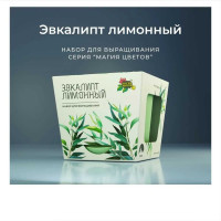 Набор для выращивания растений Магия цветов Эвкалипт лимонный mf-007