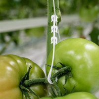 Кистедержатель MasterProf J-hook, пластик, 30 шт ДС.070779.30