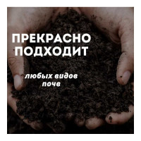 Удобрение Зри в корень Коровий навоз с гуматом калия в гранулах, 5 л 4640259903163