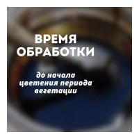 Деготь березовый Зри в корень 100 мл 4610014743914