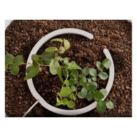 Капельница дуговая для кустарников, клумб и деревьев Green Helper ф 25 см, 8 водовыпусков по 2 л/ч NB250802