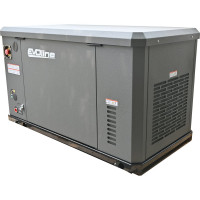 Генератор газовый Evoline GNG 13500 E GNG13500E
