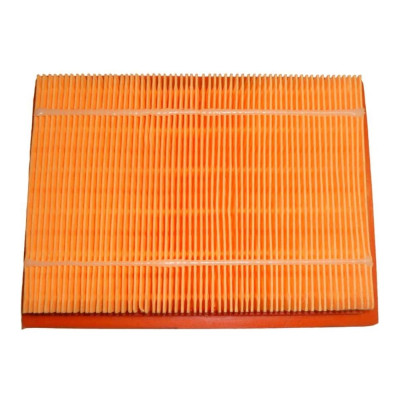 ТСС Фильтр воздушный прямоугольный SGG10000 (225x165x33 мм) /Air filter element (17130) 004339
