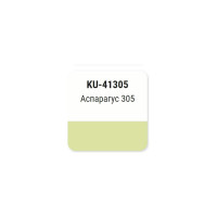 Автомобильная ремонтная металлизированная эмаль KUDO Аспарагус 305 KU-41305