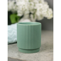 Стакан для зубных щеток Bath Plus BASILICA GREEN CE2478FA-TB