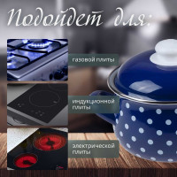 Эмалированная стальная кастрюля PERFECTO LINEA Горошек синий 2.8 л 50-600928