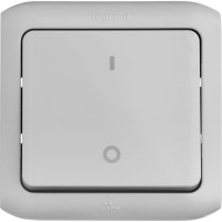 Выключатель Legrand двухполюсный одноклавишный Legrand Quteo IP44 10А 250В винтовые зажимы накладной монтаж серый 782339