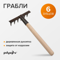 Грабли POLYAGRO 6-зубые, деревянная рукоятка 7662103