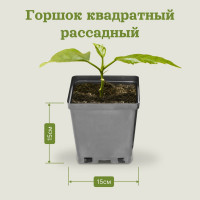Горшок для рассады UOKSA 15х15х15 см, объем 2.7 л, твердый, литой, -22 1503