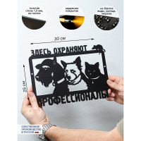 Табличка ООО СКП Охраняют Профи 25*30, сталь, порошковое покрытие Т-024