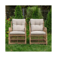 Комплект обеденных кресел Royal Family ISABELLA 201-21-2