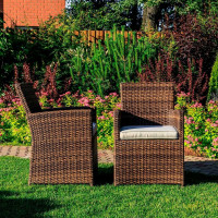 Комплект кресел Royal Family FIONA в коричневом цвете 99-61-21-2