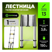 Телескопическая лестница ПОЛЕСАД 3,8 м, масса 11 кг, нагрузка до 150 кг,13 ступеней 019967