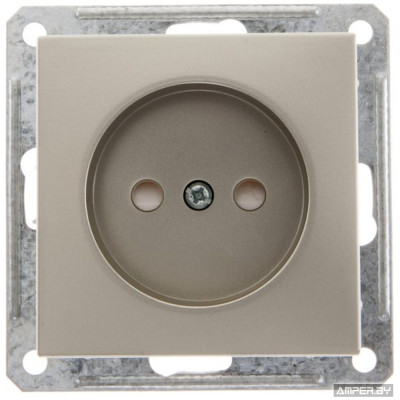 Systeme Electric ( Schneider Electric) WESSEN 59 Шампань Розетка б/з RS16-151-4-86