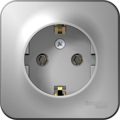 Systeme Electric ( Schneider Electric) Blanca наруж Алюминий Розетка с/з без шторок, 16А, 250В SE BLNRA010103