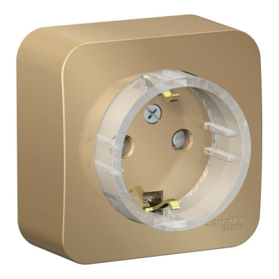 Розетка Systeme Electric Blanca BLNRA111114