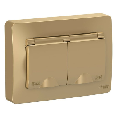 Systeme Electric ( Schneider Electric) Blanca с/у ip44 розетка двойная с заземл. со шторк., с крышками,16а, 250в, титан BLNRS441124
