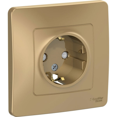 Systeme Electric ( Schneider Electric) Blanca с/у розетка с заземлением со шторками, 16а, 250в, титан BLNRS001114
