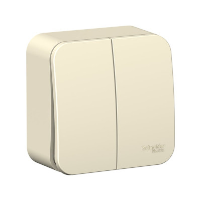 Systeme Electric ( Schneider Electric) Blanca о/у 2-клавишный выключатель (cх.5), 6а, 250в, молочный BLNVA065002