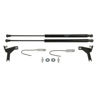АвтоУпор Упоры капота для Ford Focus II 2005-2008 2008-2011, 2 шт., UFDFOC013